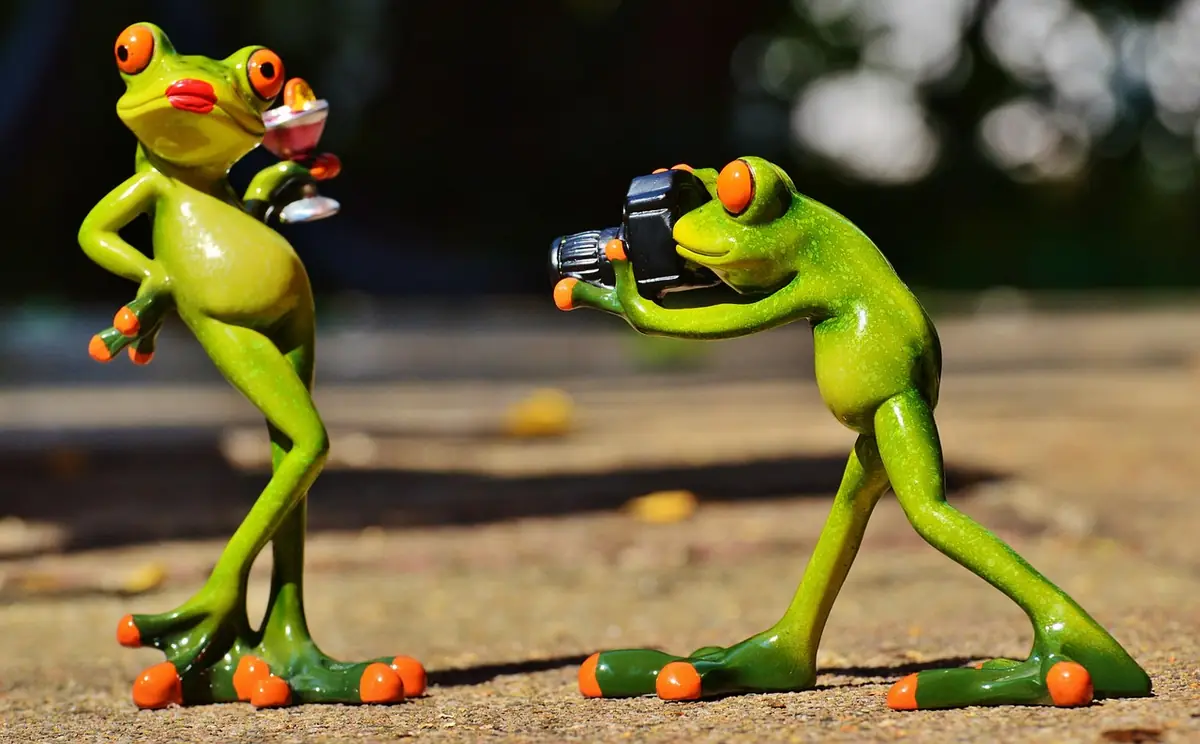 Frog, photographer, model — illustrating How to Choose the Right Image Format for the Web