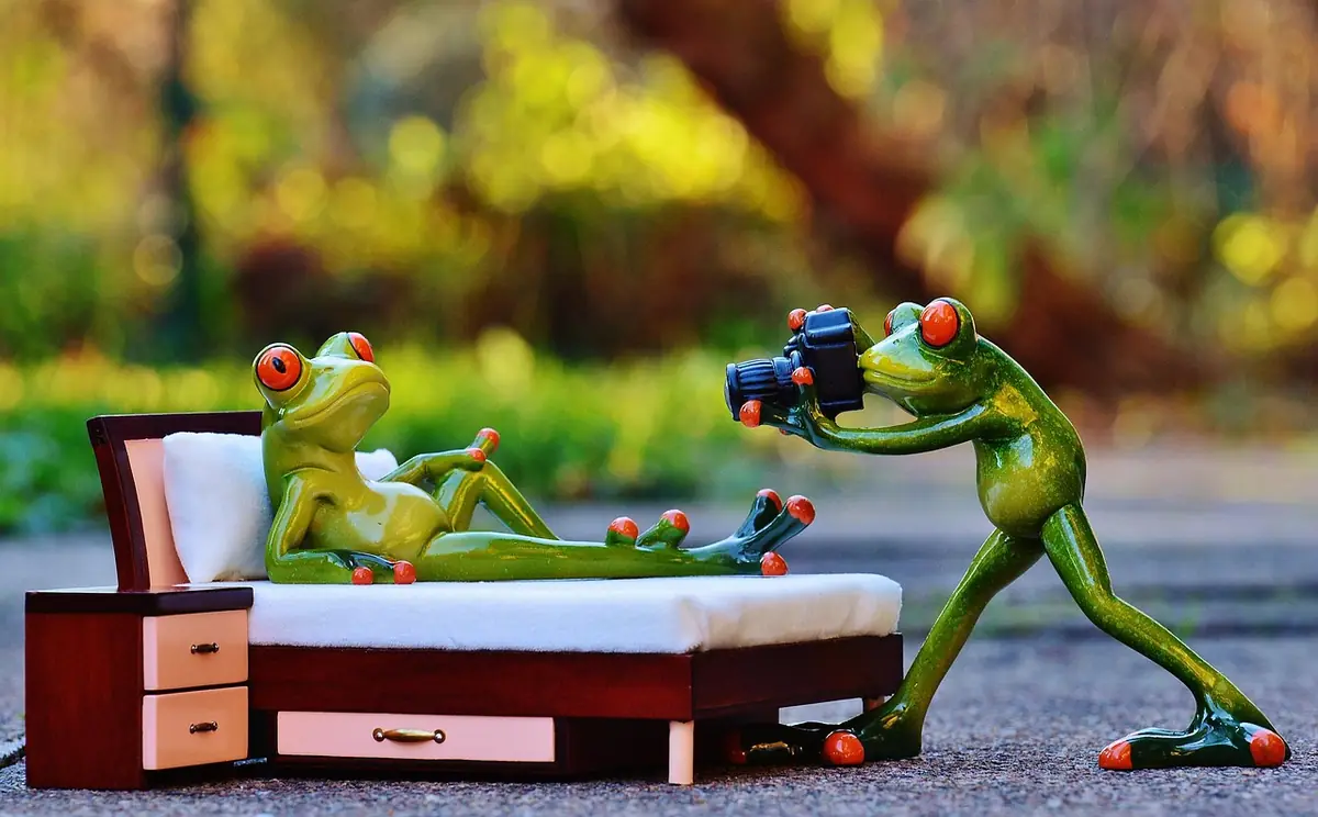 Photographer, frog, photo shoot — illustrating How to Convert SVG to PNG at Any Resolution (2026)