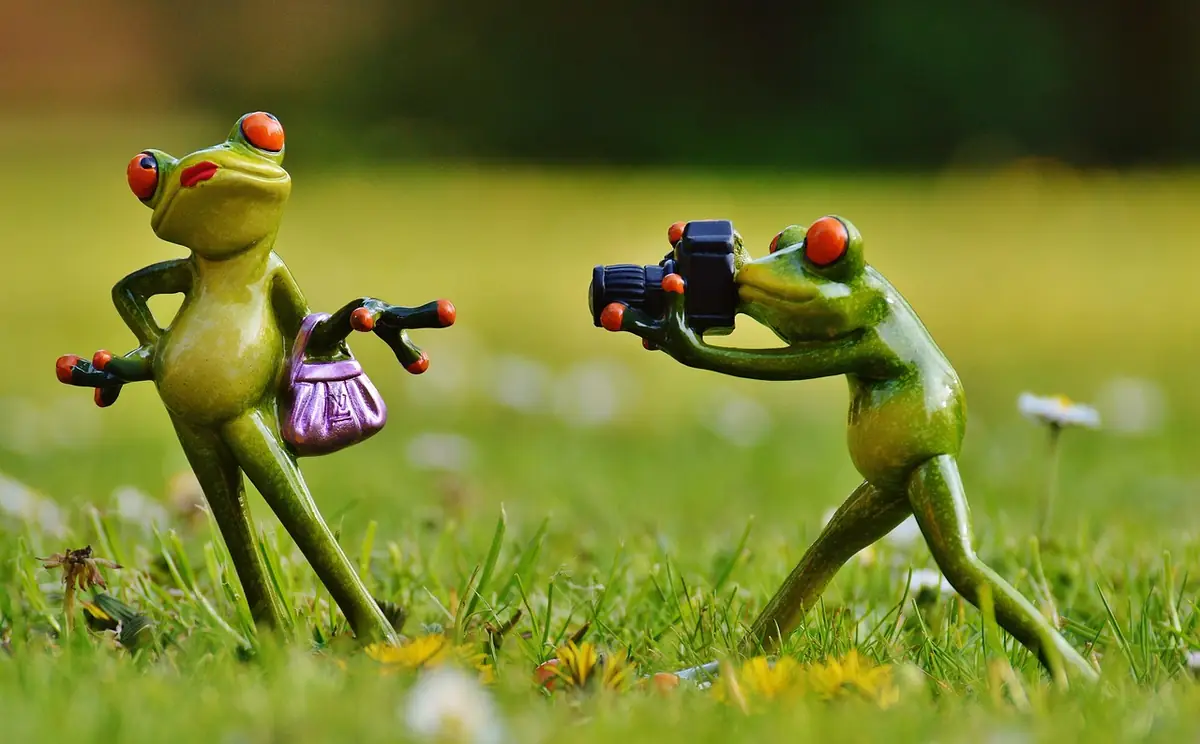 Frog, photographer, model — illustrating How to Create CSS Image Sprites (2026 Guide)