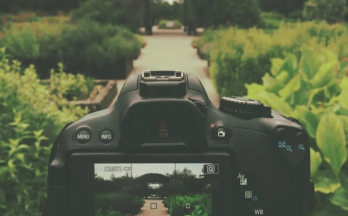 Canon rebel t4i, dslr, garden — illustrating How to Crop an Image Online (Free, No Upload)