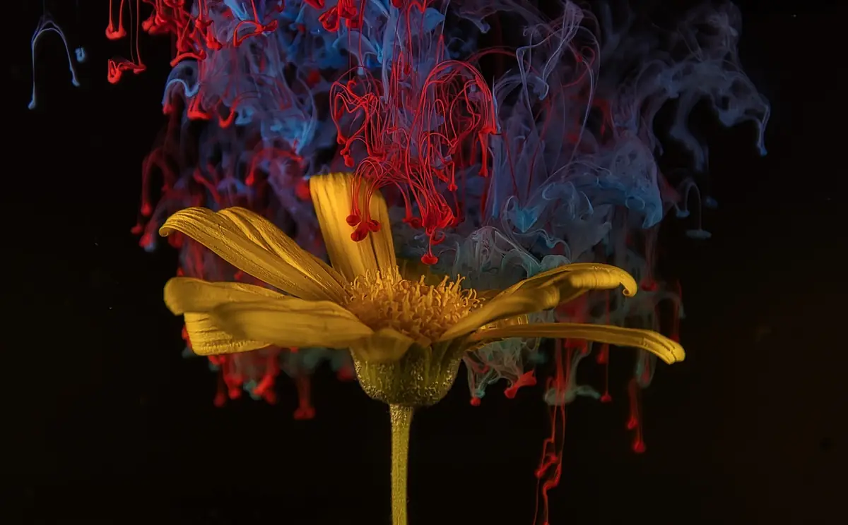 Flower, ink, abstract — illustrating How to Extract a Color Palette from Any Image