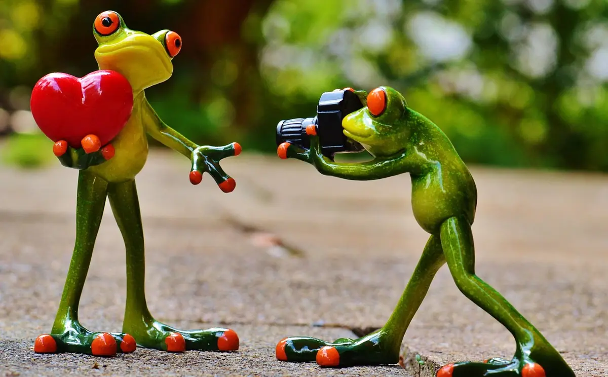 Frogs, love, nature — illustrating How to Lazy Load Images for Better Performance