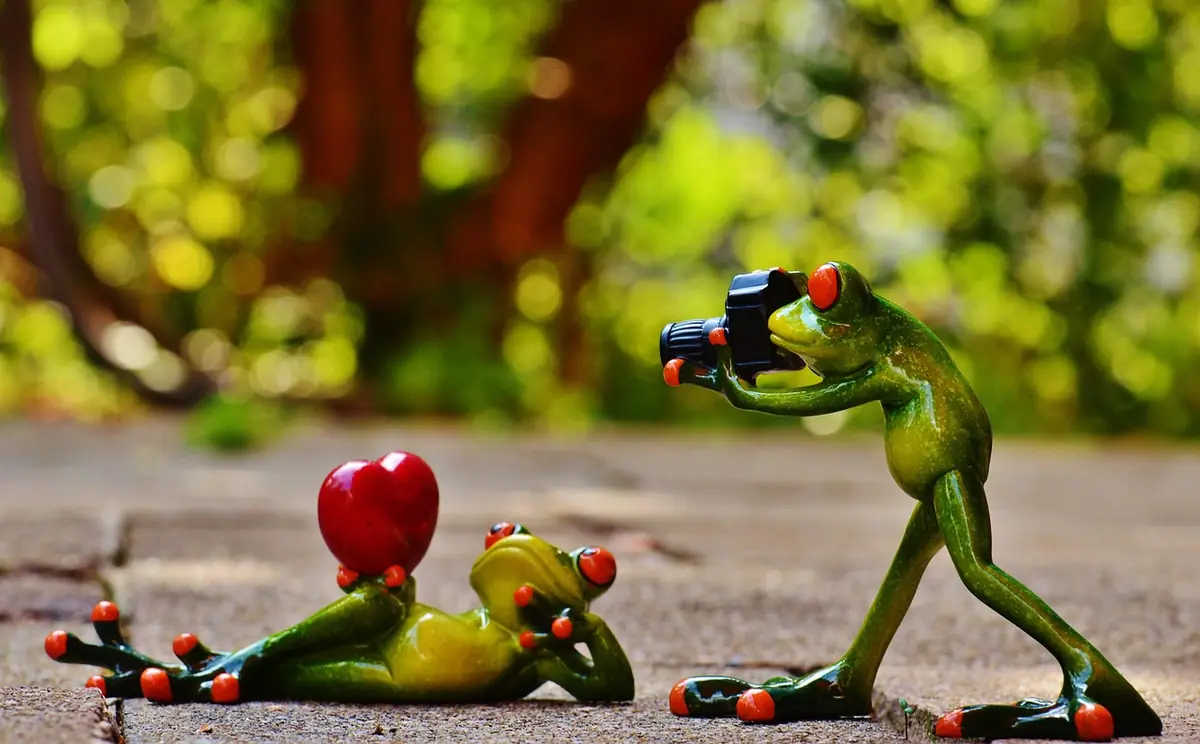 Frogs, love, nature โ illustrating How to Optimize SVG Files for the Web