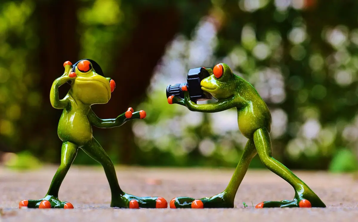 Frogs, headphones, music โ illustrating How to Remove Image Backgrounds Online (2026)