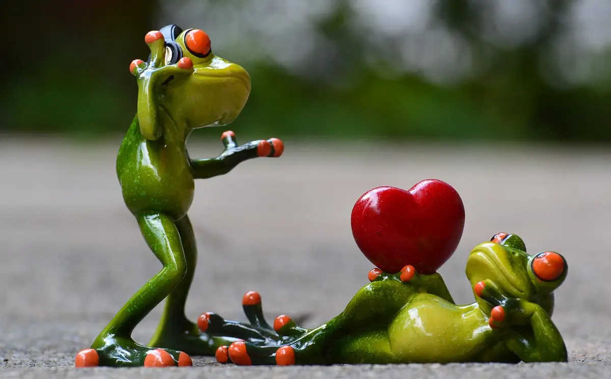 Frogs, love, headphones — illustrating How to Watermark Images